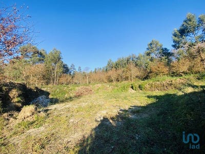 /international/pt/viana-do-castelo-viana-do-castelo-310096966767/