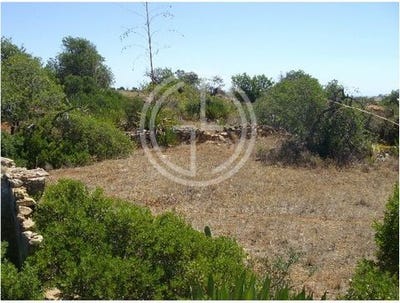 /international/pt/quatrim-do-norte-olhao-faro-120093013835/