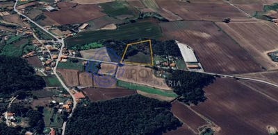 /international/pt/junqueira-porto-310108430327/