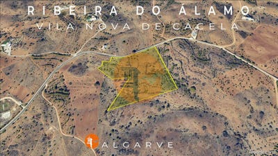 /international/pt/faro-faro-310099355233/