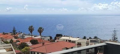 /international/pt/santa-cruz-setubal-municipality-310102067749/