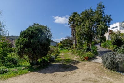 /international/pt/lisboa-lisbon-310106416628/