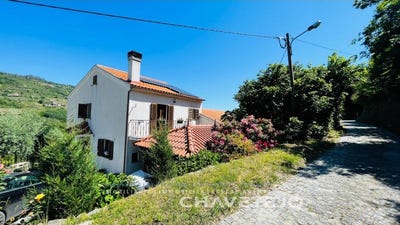 /international/pt/avo-coimbra-310099834152/