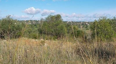 /international/pt/silves-silves-faro-120086452443/