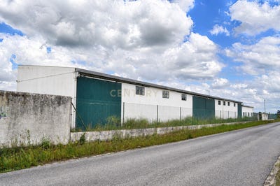 /international/pt/rua-do-canto-do-muro-2070-213-vale-da-pedra-portugal-vale-da-pedra-santarem-310104861978/