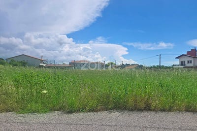 /international/pt/figueira-da-foz-braganca-310108082058/