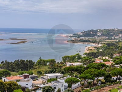 /international/pt/nadadouro-leiria-310107970515/