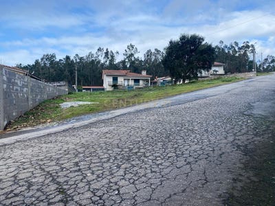 /international/pt/fradelos-braga-310097232894/