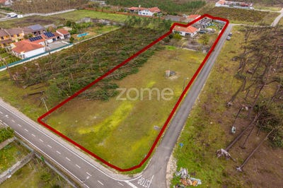 /international/pt/marinha-grande-leiria-310105717650/