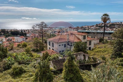 /international/pt/ilha-da-madeira-madeira-310105230843/