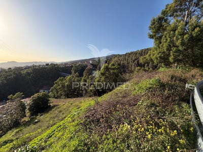 /international/pt/monte-funchal-madeira-310105430351/