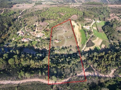 /international/pt/sao-teotonio-beja-310099362360/