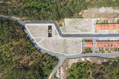 /international/pt/oliveira-de-azemeis-aveiro-310101687141/