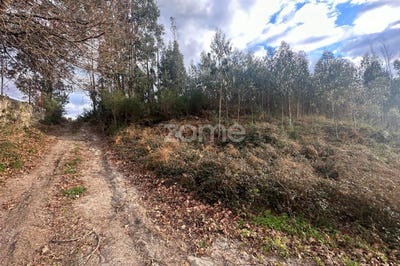 /international/pt/povoa-de-lanhoso-braga-120083060740/