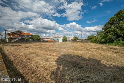 /international/pt/bunheiro-aveiro-310105536300/?lang=th