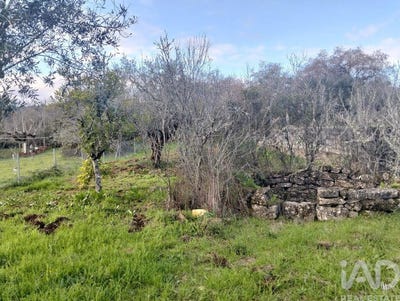 /international/pt/santarem-santarem-310104982050/