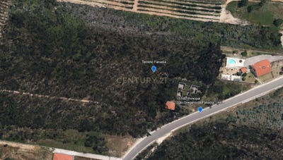 /international/pt/rua-principal-157-sao-gregorio-da-fanadia-caldas-da-rainha-nossa-senhora-do-populo-coto-e-sao-gregorio-portugal-caldas-da-rainha-nossa-senhora-do-populo-leiria-310101352821/