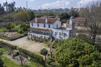 /international/pt/paredes-porto-310098553207/