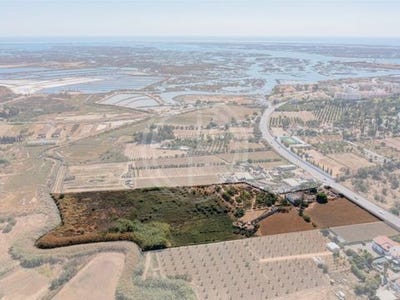 /international/pt/faro-faro-310108404964/