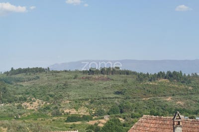 /international/pt/mangualde-viseu-310100542052/?lang=zh-cn