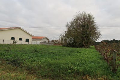 /international/pt/oliveira-do-bairro-aveiro-310097186189/
