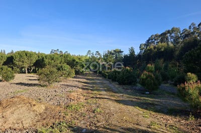 /international/pt/oliveira-do-bairro-aveiro-310108182348/