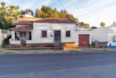 /international/pt/maiorga-leiria-310098102580/