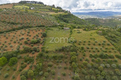 /international/pt/braganca-braganca-310094123866/