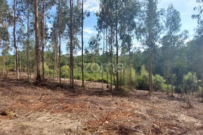 /international/pt/alcobaca-leiria-120079966714/