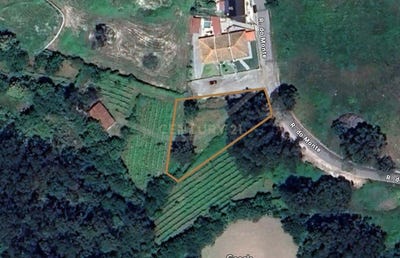 /international/pt/passos-braganca-310098813453/