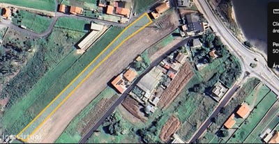 /international/pt/torreira-aveiro-310096475722/
