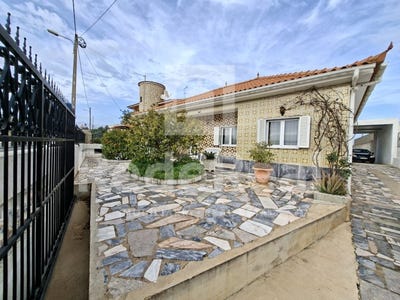 /international/pt/quelfes-faro-310106937336/