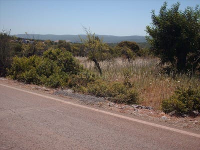 /international/pt/varzea-do-centeio-querenca-faro-310105187113/