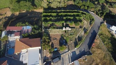 /international/pt/viana-do-castelo-viana-do-castelo-310106287310/