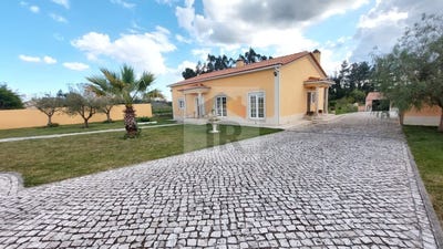 /international/pt/caldas-da-rainha-leiria-310099113226/?lang=fr