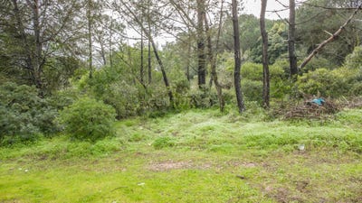/international/pt/rua-quinta-das-chaves-caparica-portugal-caparica-e-trafaria-setubal-municipality-310105247232/