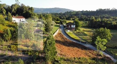 /international/pt/fontao-viana-do-castelo-310101079091/