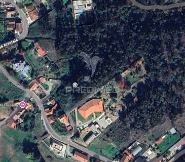 /international/pt/cristelos-boim-e-ordem-lousada-porto-310105908191/