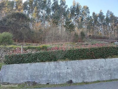 /international/pt/sao-pedro-de-casteloes-aveiro-310097545343/