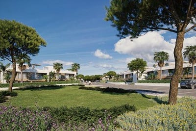 /international/pt/sines-setubal-municipality-310106196731/