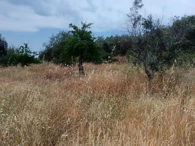 /international/pt/salgueiro-do-campo-castelo-branco-310101443382/?lang=zh-cn
