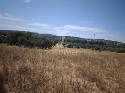 /international/pt/paderne-albufeira-faro-310107358083/