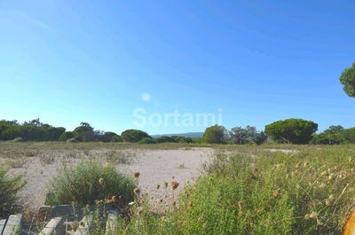 /international/pt/loule-faro-310107216938/
