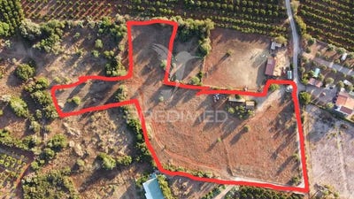 /international/pt/alcantarilha-e-pera-silves-faro-310107701732/