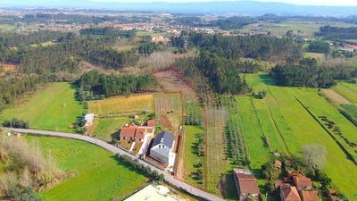 /international/pt/vilarinho-do-bairro-aveiro-310100668748/