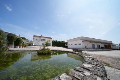 /international/pt/rua-das-alfacanhas-palmela-portugal-palmela-setubal-municipality-310104286504/