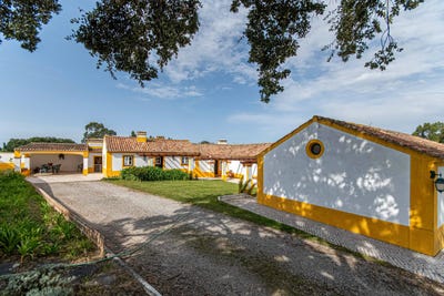 /international/pt/rua-do-corvo-azambuja-portugal-azambuja-lisbon-310105186418/