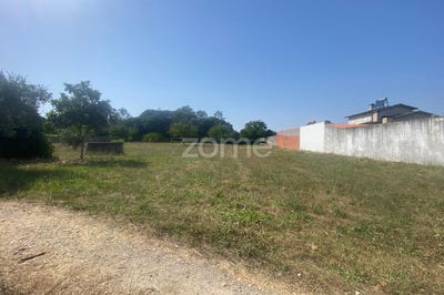 /international/pt/cantanhede-coimbra-310101277149/
