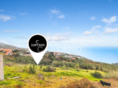 /international/pt/estreito-da-calheta-madeira-310108652576/
