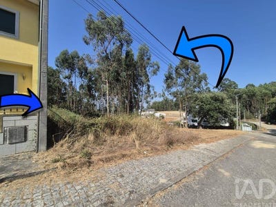 /international/pt/porto-braga-310101601089/